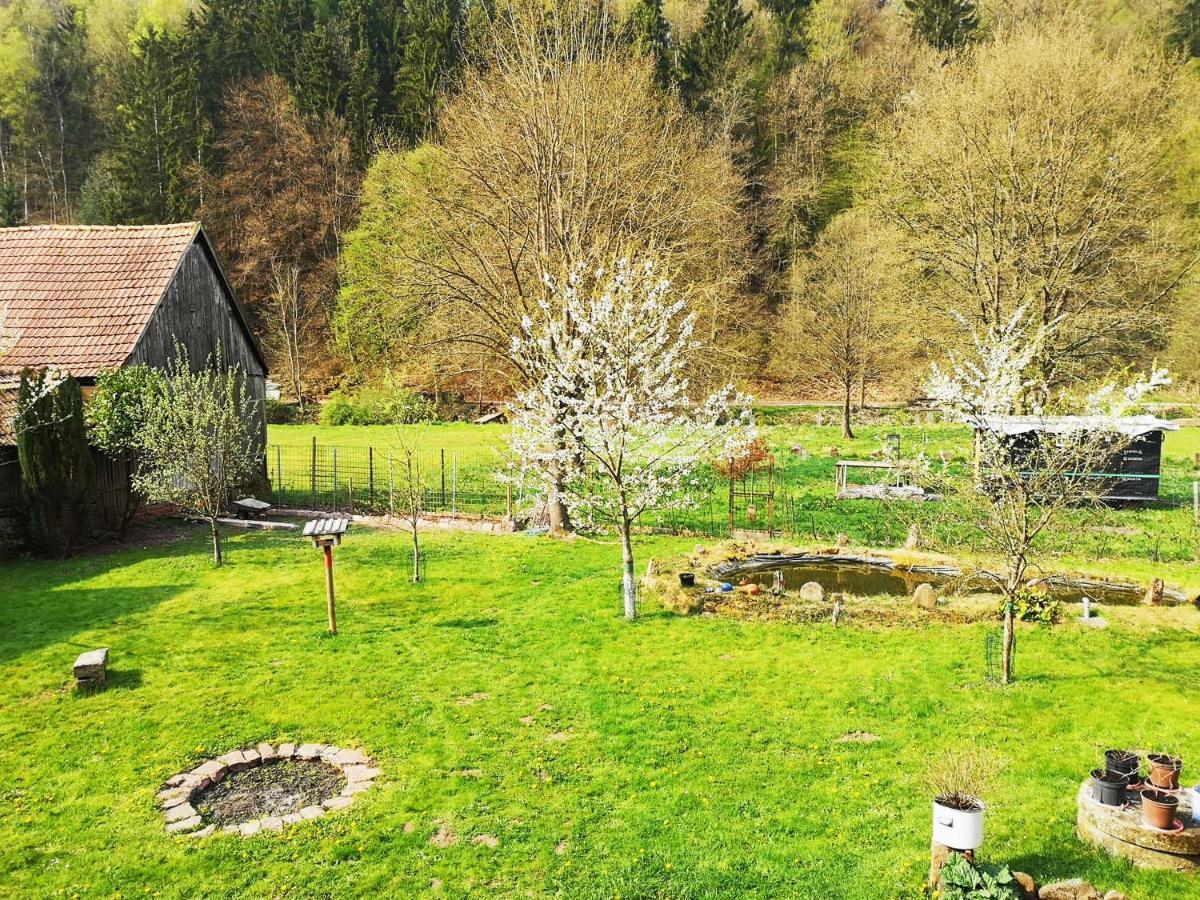 Sinnglueck Obersinn Eksteriør bilde